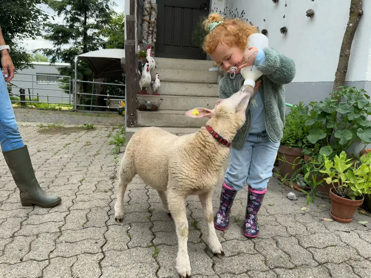 Simone Maurer hält auf ihrem Lebenshof Sinulay dutzende gerettete Tiere.